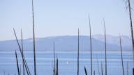 Fishing restrictions in Yellowstone lifted due to cool temps, precipitation