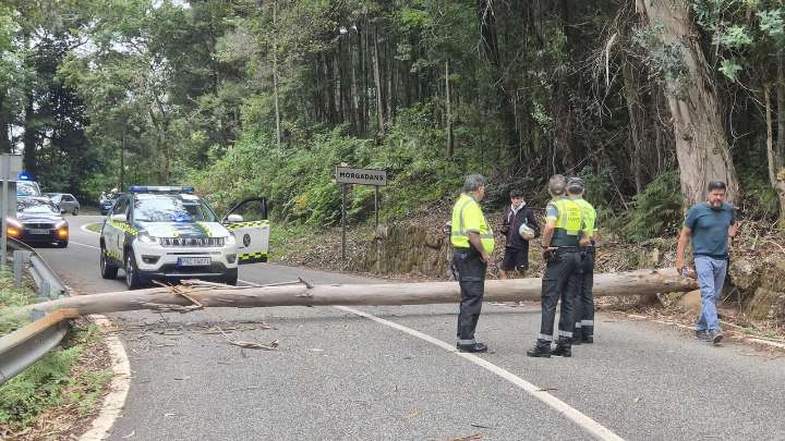 Intentan sabotear La Vuelta con un gigantesco tronco en la carretera