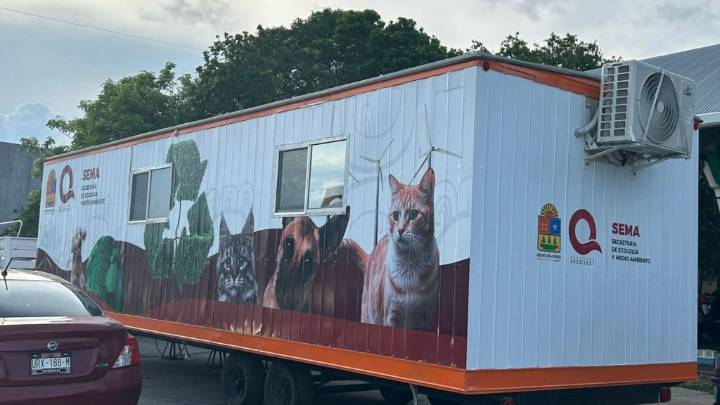 SEMA estima cerrar el año con más de 1,500 esterilizaciones de mascotas