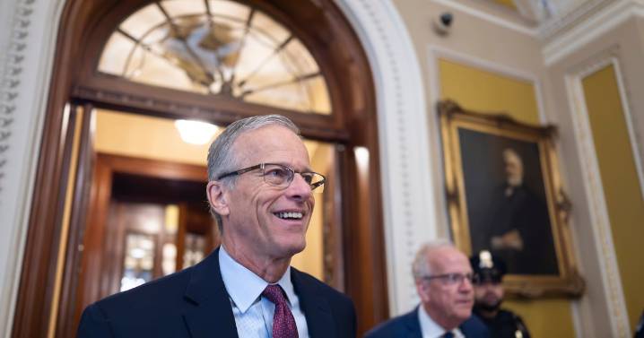 Senate confirms 48 Trump nominees in single vote after 'going nuclear'