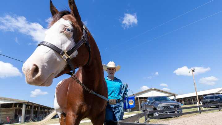 Florida Color Horse Club holds 'United Colors' show in Newberry