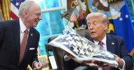 Donald Trump Appears to Mistake American Flag for Cozy Blanket