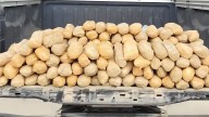 CBP decomisa más de medio millón de pastillas de fentanilo en garitas de Nogales