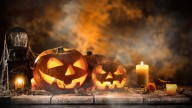 Niagara SPCA in need of scare actors, trunk-or