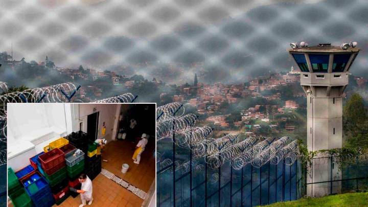 Procuraduría alerta fallas críticas en alimentación y salud de la cárcel El Pedregal de Medellín