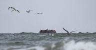 Two kids among three migrants 'crushed to death' in English Channel overnight