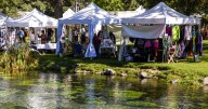 Annual Thousand Springs Arts Festival set for Saturday, Sunday