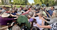 Backlash mounts over proposed repeal of protections for 2M acres of forest in WA