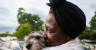 PHOTOS: Social media spotlight gives shelter dogs a 2nd chance at life