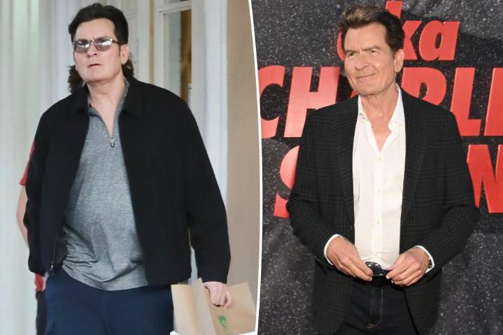 Charlie Sheen got lipo after a prostitute called him fat