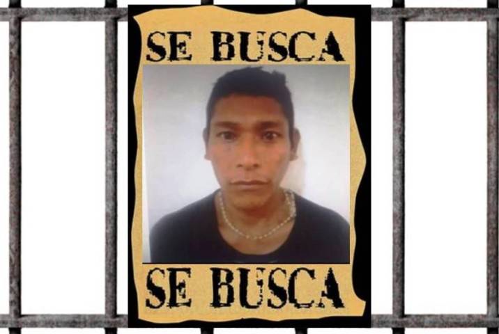“Electro”, el más buscado en Tucupita