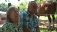 Equine therapy barn celebrates 10 years of healing through horse