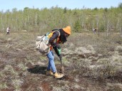 Sudbury’s regreening story returns to the classroom with VETAC