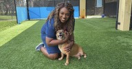FALL in love with one of our 'Underdogs' of the week!