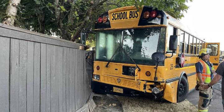 School bus involved in crash in Albany; no injuries reported