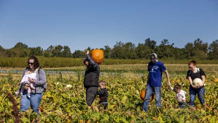 Huber's Orchard and Winery wins USA Today 10BEST Reader's Choice Award