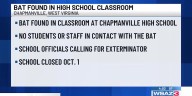 Bat found in high school classroom