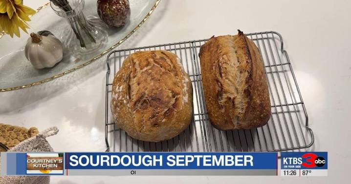 Courtney's Kitchen: Sourdough September