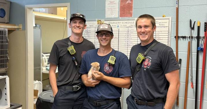 Chattanooga firefighters check on cat they rescued from fire