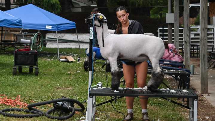Eaton County to cut staff, eliminate 4-H funding among $8.4M in cuts