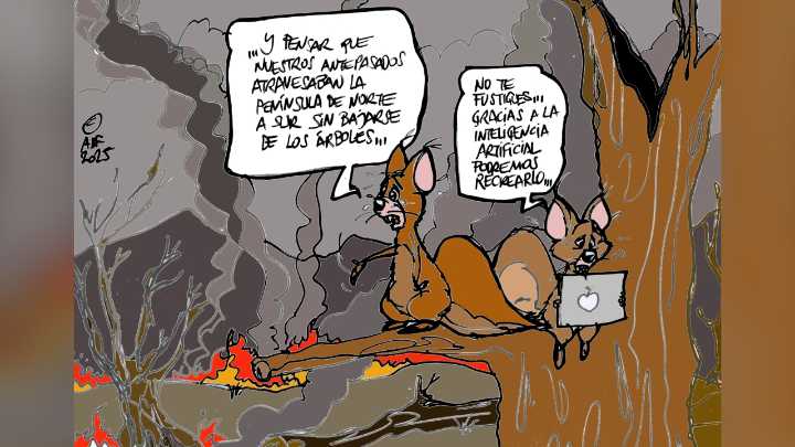 La pérdida de biodiversidad tras los incendios forestales, en la viñeta gráfica de Alfredo Boto