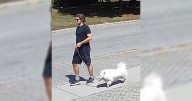 London sexual assault: Police investigating alleged incident