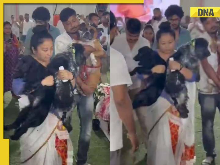 Zubeen Garg funeral: Singer's wife lets their dogs say final goodbye at coffin
