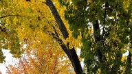 What to expect from the weather this fall