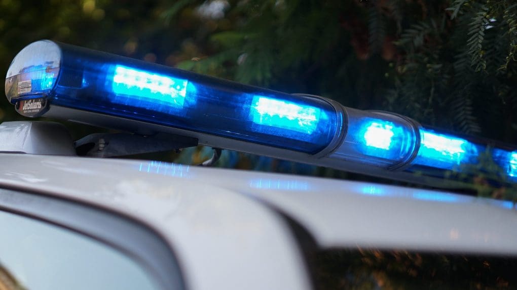 Se incautaron 12 kilos de drogas: PDI desarticula banda criminal que traficaba en aviones