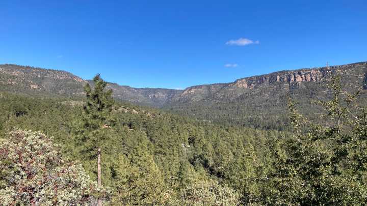 Woman camping near Mogollon Rim falls to her death