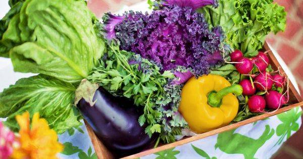 Suspenden la distribución de estas verduras congeladas en todo el país por contaminación de listeria: puede causar la muerte