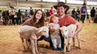 Perth Royal Show: From cows to snakes, to clowns and rides, WA’s favourite show has it all