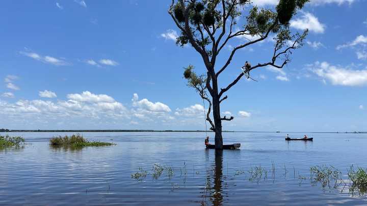 Protección Civil: Río Orinoco disminuye entre dos a cuatro centímetros por día