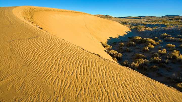 Wyoming’s Vast Killpecker Dunes: Like Another Planet Where The Sand Sings To You