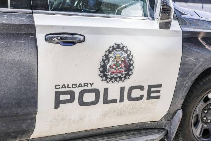 28-year-old man charged in random attack at NE Calgary CTrain station