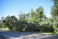 Salvage harvests to take place at area DNR-managed sites due to June storm