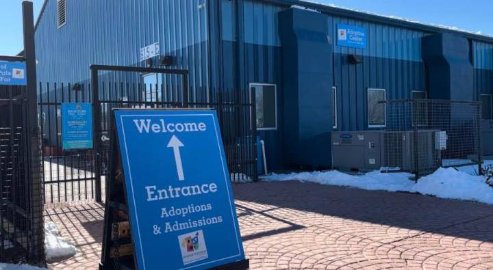 Animal Humane New Mexico saves chained up, frostbitten pup