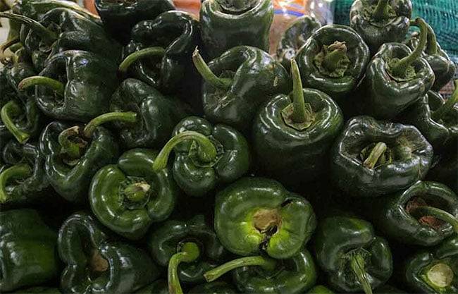 Chile poblano más barato en Saltillo; inicia Profeco monitoreo por fiestas patrias