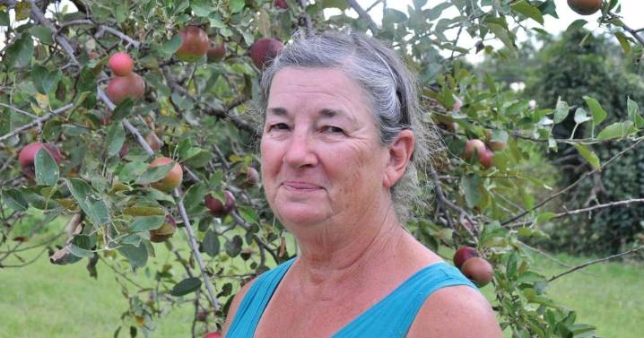 Century-old orchard open for another apple picking season