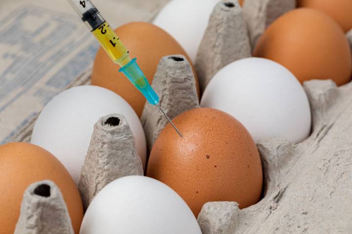 Should You Worry About Antibiotic Residues in Your Food?