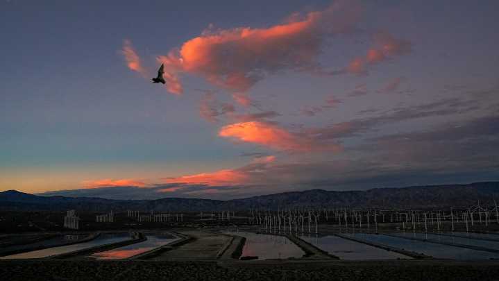 Mojave Desert faces triple weather threat of flood, heat and wildfires