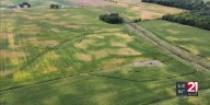 Huntington County farmer discovers vandalized crop