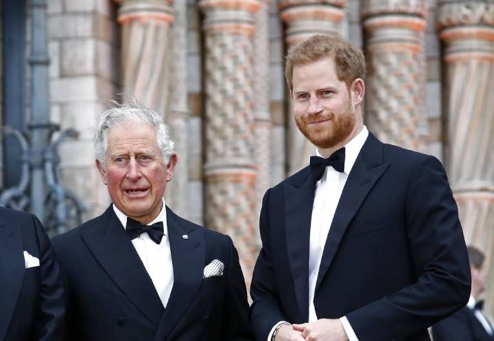 Prince Harry, King Charles meeting was 'massive step' amid royal rift