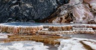 Bear attack on hiker closes trail in Yellowstone National Park