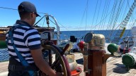 Buque Cuauhtémoc regresa a Nueva York a cuatro meses de choque con el puente de Brooklyn