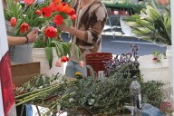 "Hacerse un Jeremy Allen White" o por qué comprar flores puede ser el mejor antídoto de la rentrèe
