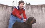 Amores perros celebra 25 años con función especial en Bellas Artes