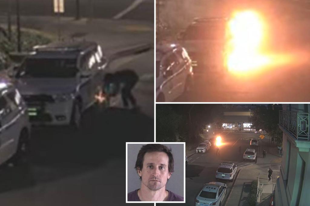 'Domestic terrorist' Casey Goonan sentenced for attacks on college campus, federal courthouse
