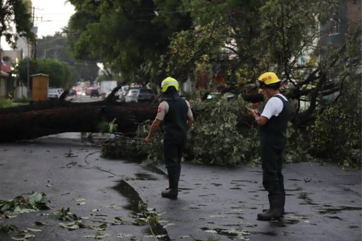 Lluvias exhiben la vulnerabilidad del AMG: 300 zonas en alto riesgo