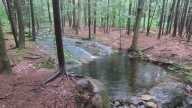 Free state park admission in Maine for library card holders on September 20